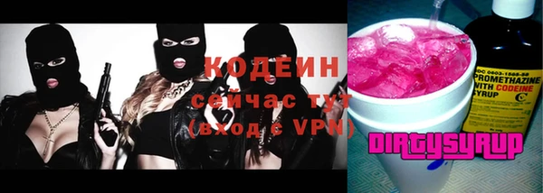 спиды Каменка
