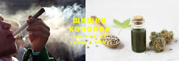спиды Каменка